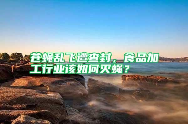 蒼蠅亂飛遭查封，食品加工行業(yè)該如何滅蠅？