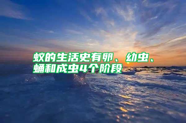 蟻的生活史有卵、幼蟲(chóng)、蛹和成蟲(chóng)4個(gè)階段