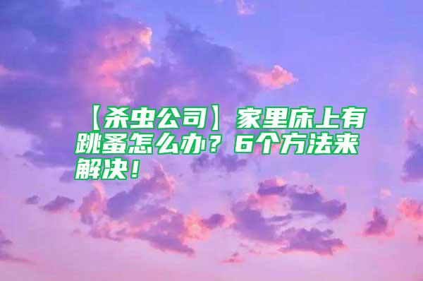 【殺蟲公司】家里床上有跳蚤怎么辦？6個(gè)方法來解決！