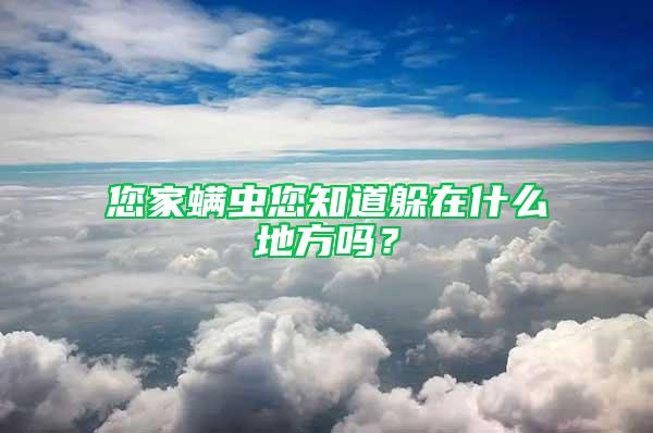 您家螨蟲您知道躲在什么地方嗎？