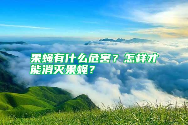 果蠅有什么危害？怎樣才能消滅果蠅？