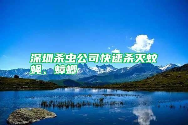 深圳殺蟲公司快速殺滅蚊蠅、蟑螂