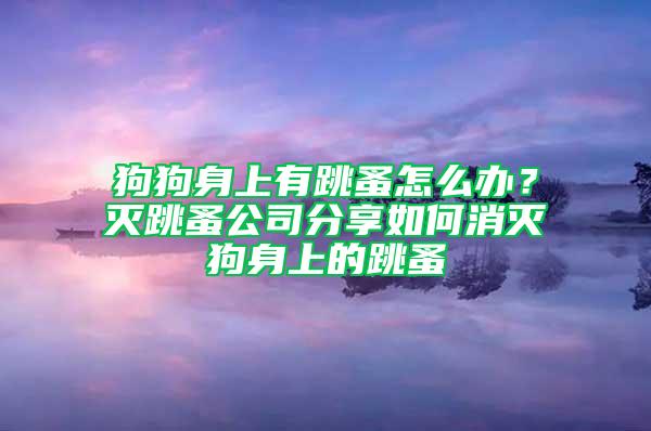 狗狗身上有跳蚤怎么辦？滅跳蚤公司分享如何消滅狗身上的跳蚤