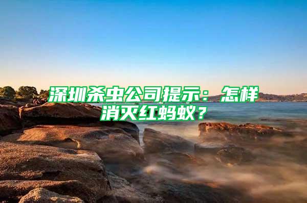 深圳殺蟲公司提示：怎樣消滅紅螞蟻？