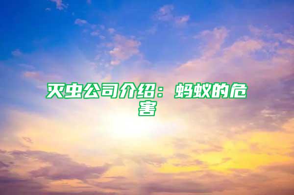 滅蟲公司介紹：螞蟻的危害