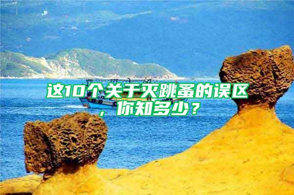 這10個(gè)關(guān)于滅跳蚤的誤區(qū)，你知多少？