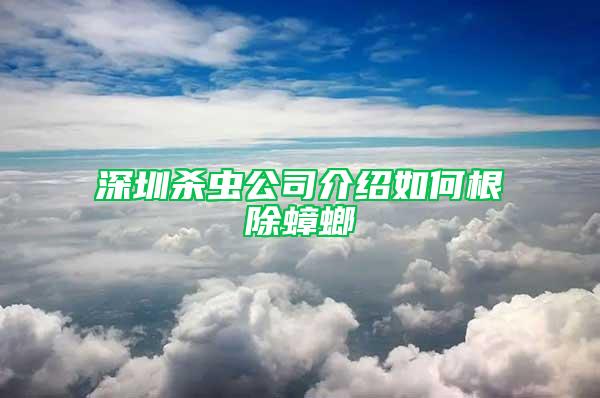 深圳殺蟲公司介紹如何根除蟑螂