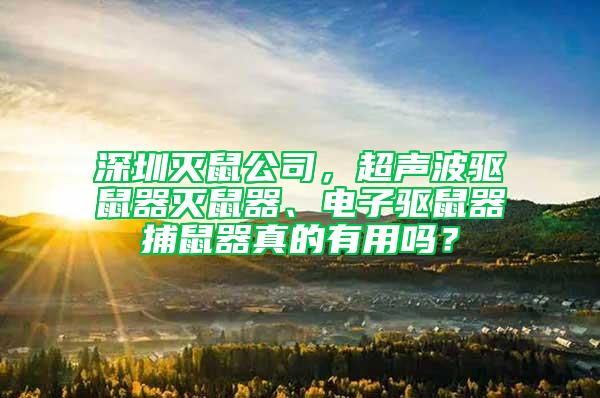 深圳滅鼠公司，超聲波驅鼠器滅鼠器、電子驅鼠器捕鼠器真的有用嗎？