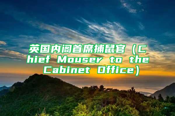 英國(guó)內(nèi)閣首席捕鼠官（Chief Mouser to the Cabinet Office）