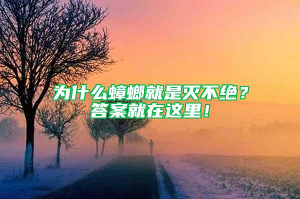 為什么蟑螂就是滅不絕？答案就在這里！