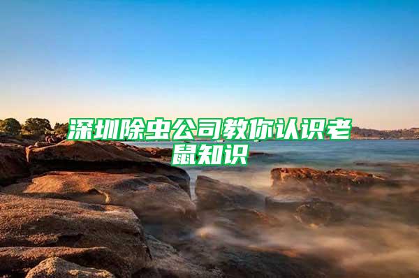 深圳除蟲公司教你認(rèn)識老鼠知識