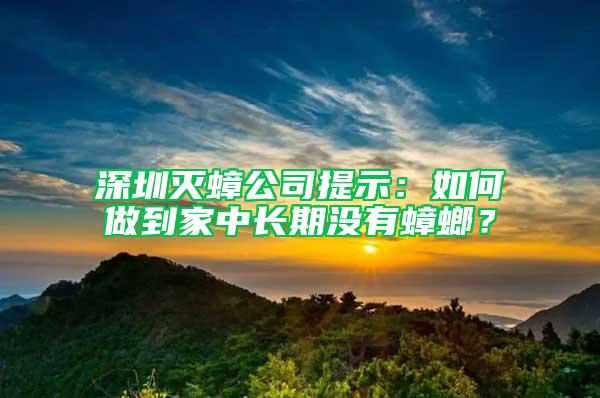 深圳滅蟑公司提示：如何做到家中長期沒有蟑螂？