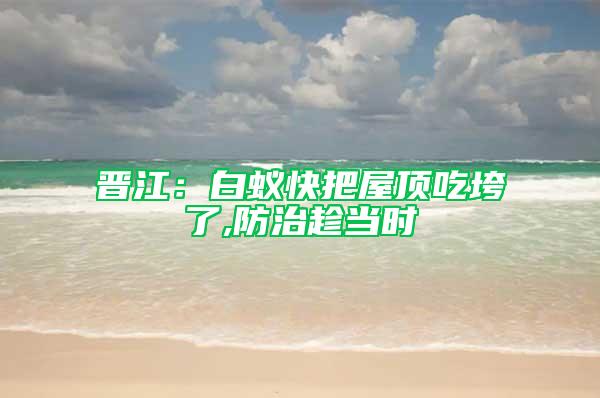 晉江：白蟻快把屋頂吃垮了,防治趁當時