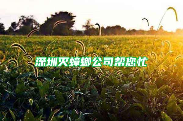 深圳滅蟑螂公司幫您忙