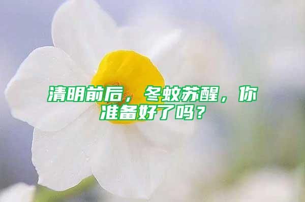 清明前后，冬蚊蘇醒，你準(zhǔn)備好了嗎？