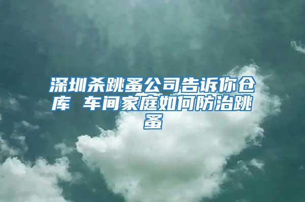 深圳殺跳蚤公司告訴你倉庫 車間家庭如何防治跳蚤