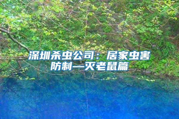 深圳殺蟲公司：居家蟲害防制—滅老鼠篇