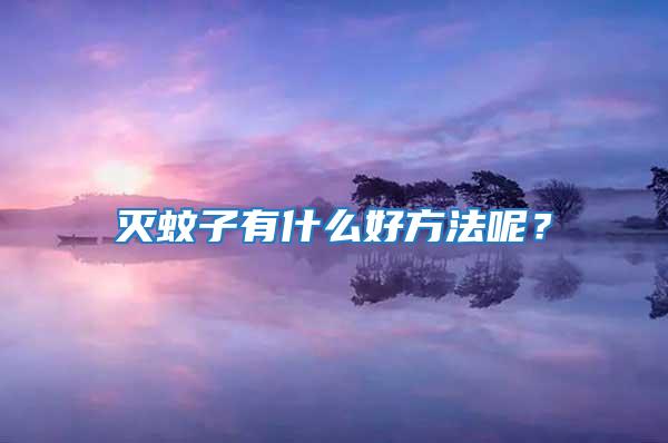 滅蚊子有什么好方法呢？