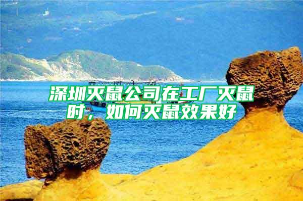 深圳滅鼠公司在工廠滅鼠時，如何滅鼠效果好