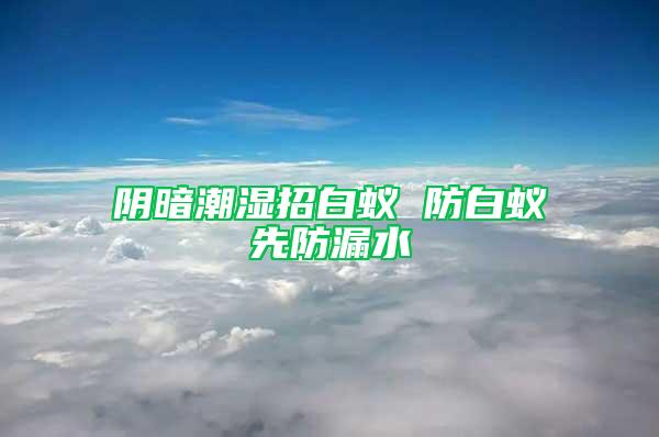 陰暗潮濕招白蟻 防白蟻先防漏水