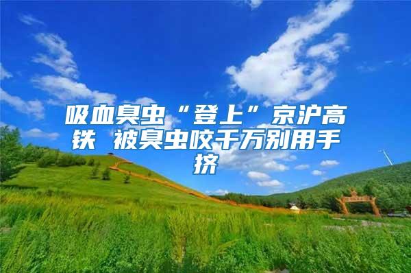 吸血臭蟲“登上”京滬高鐵 被臭蟲咬千萬別用手擠