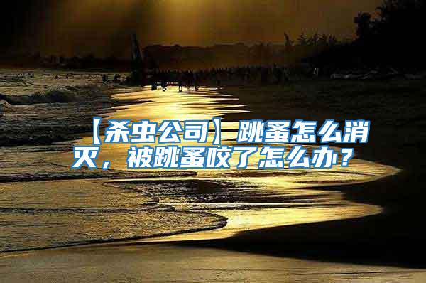 【殺蟲公司】跳蚤怎么消滅，被跳蚤咬了怎么辦？