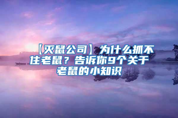 【滅鼠公司】為什么抓不住老鼠？告訴你9個關(guān)于老鼠的小知識