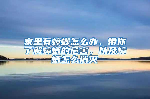 家里有蟑螂怎么辦，帶你了解蟑螂的危害，以及蟑螂怎么消滅