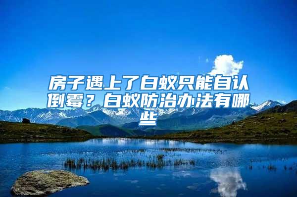 房子遇上了白蟻只能自認倒霉？白蟻防治辦法有哪些