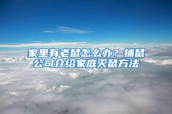 家里有老鼠怎么辦？捕鼠公司介紹家庭滅鼠方法