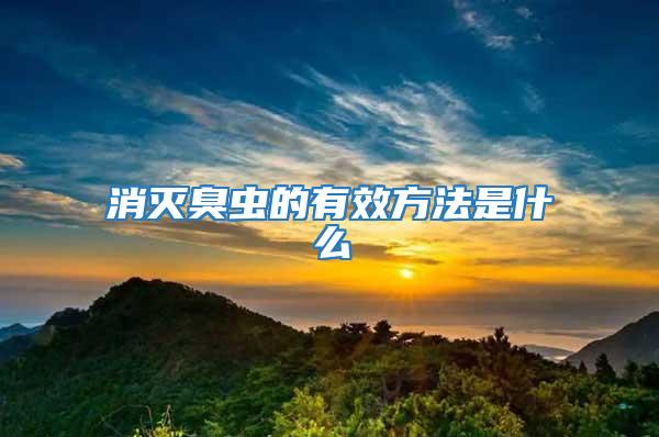 消滅臭蟲(chóng)的有效方法是什么