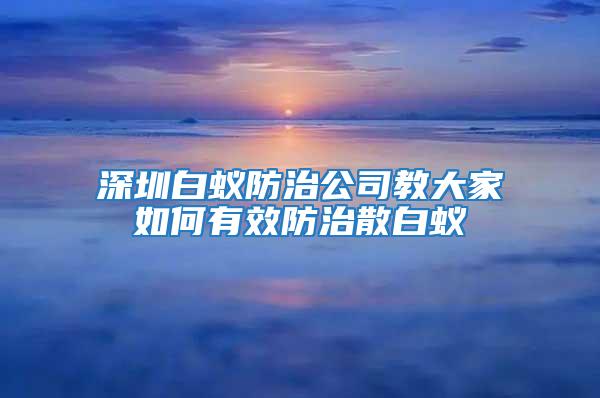 深圳白蟻防治公司教大家如何有效防治散白蟻