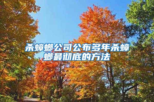 殺蟑螂公司公布多年殺蟑螂最徹底的方法