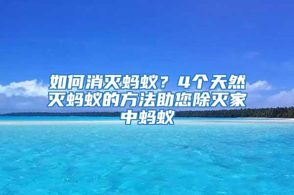 如何消滅螞蟻？4個天然滅螞蟻的方法助您除滅家中螞蟻