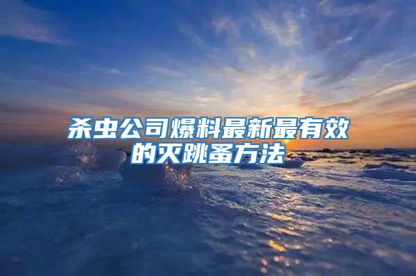 殺蟲公司爆料最新最有效的滅跳蚤方法