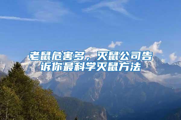 老鼠危害多，滅鼠公司告訴你最科學(xué)滅鼠方法