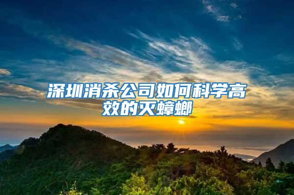 深圳消殺公司如何科學(xué)高效的滅蟑螂