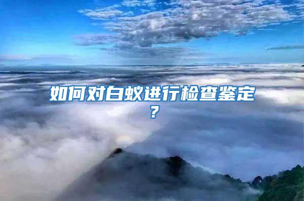 如何對(duì)白蟻進(jìn)行檢查鑒定？