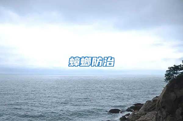 蟑螂防治