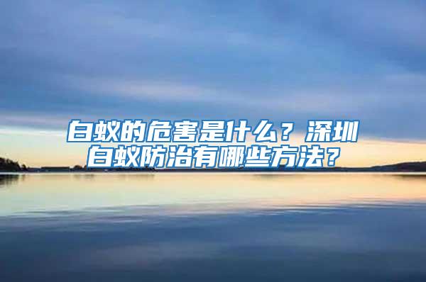 白蟻的危害是什么？深圳白蟻防治有哪些方法？