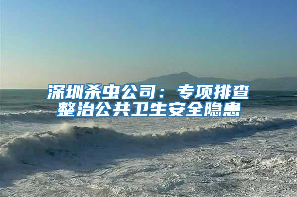 深圳殺蟲公司：專項排查整治公共衛(wèi)生安全隱患