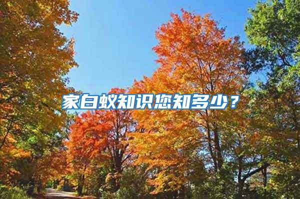 家白蟻知識您知多少？