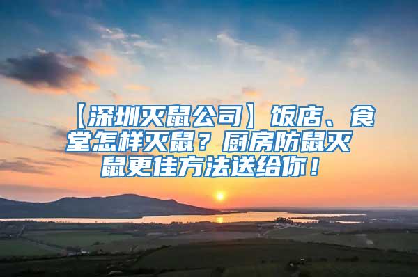 【深圳滅鼠公司】飯店、食堂怎樣滅鼠？廚房防鼠滅鼠更佳方法送給你！