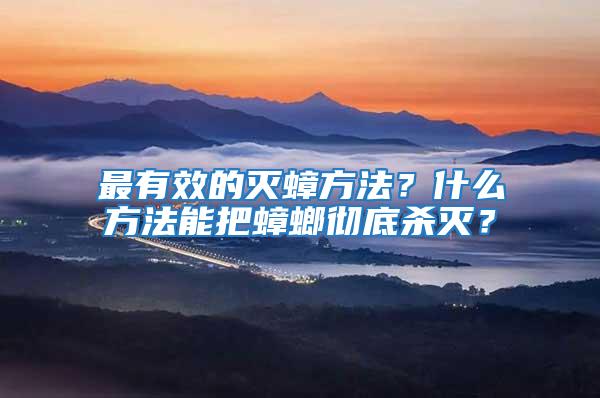 最有效的滅蟑方法？什么方法能把蟑螂徹底殺滅？