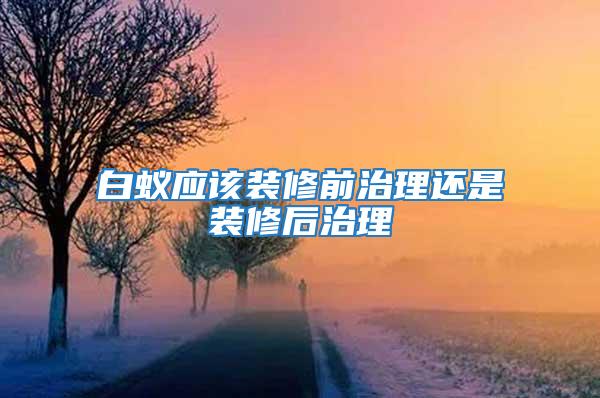 白蟻應(yīng)該裝修前治理還是裝修后治理