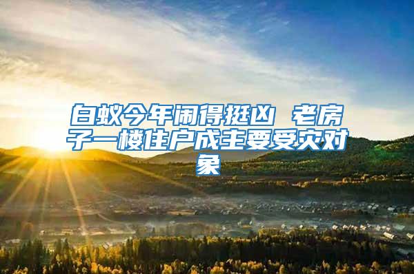 白蟻今年鬧得挺兇 老房子一樓住戶成主要受災(zāi)對象