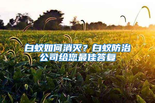 白蟻如何消滅？白蟻防治公司給您最佳答復