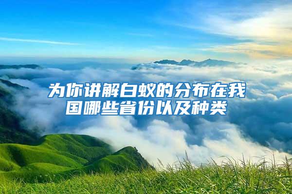 為你講解白蟻的分布在我國哪些省份以及種類