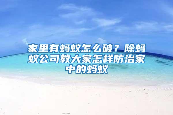 家里有螞蟻怎么破？除螞蟻公司教大家怎樣防治家中的螞蟻