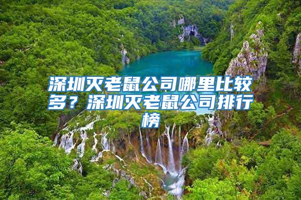 深圳滅老鼠公司哪里比較多？深圳滅老鼠公司排行榜